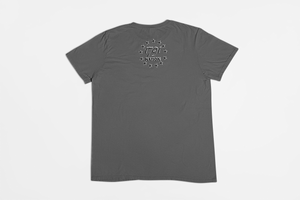 We the People Like to Party Irish Heritage Tee